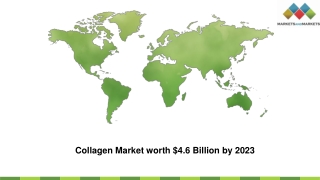 Collagen Market Size Estimation, Growth Rate, and Future Trends, 2022