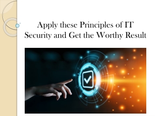 Get The Worthy Result From IT Security Principles