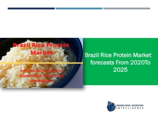 A comprehensive study on Brazil Rice Protein Market