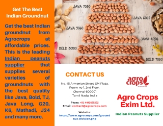 Get The Best Indian Groundnut