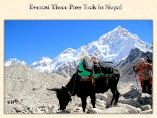 Everest Three Pass Trek in Nepal
