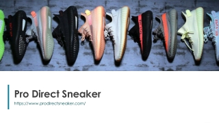 Pro Direct Sneaker