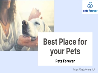 Best place for your pets
