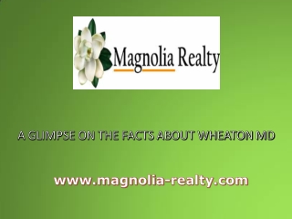 A Glimpse on the Facts about Wheaton MD