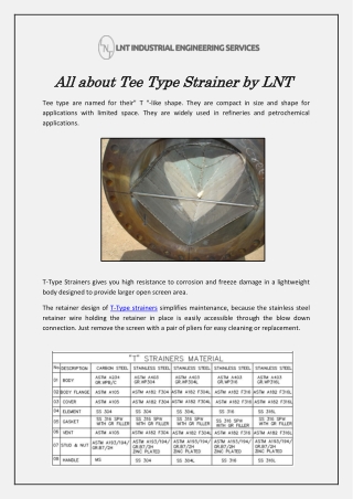 All about Tee Type Strainer by LNT