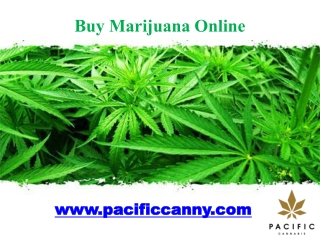 Buy Marijuana Online -www.pacificcanny.com