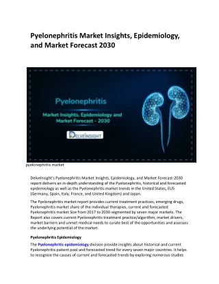 Pyelonephritis Market Insights, Epidemiology, and Market Forecast 2030