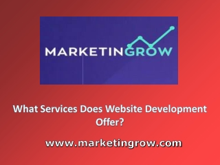 What services does Website development offer?