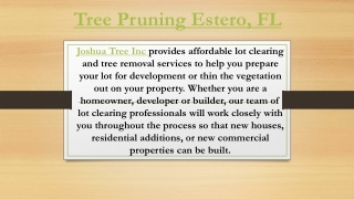 Tree Pruning Estero, FL