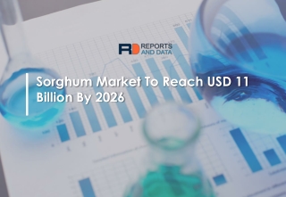 Sorghum Market Analysis and Demand To 2026