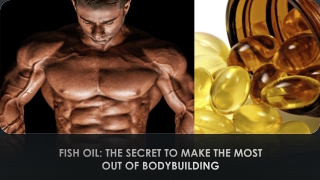 Omega 3 Fish Oil For Body Building