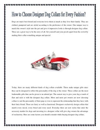 How to Choose Designer Dog Collars for Every Fashion