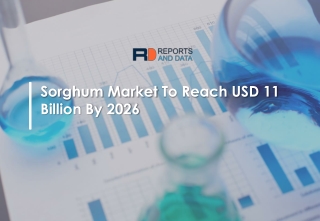 Sorghum Market Growth Factor To 2026