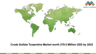 Crude Sulfate Turpentine Market Analysis, Growth, and Forecast Report, 2022
