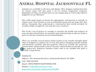 Emergency Vet Jacksonville FL