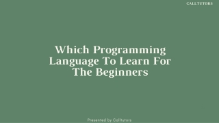 Which Programming Language To Learn For The Beginners
