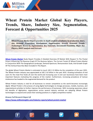 Wheat Protein Market Emerging Trends, Application Scope, Size, Status, Analysis And Forecast To 2026