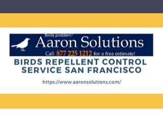 Birds Repellent Control Service San Francisco