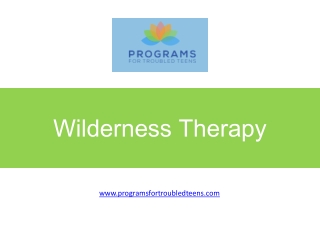 Wilderness Therapy - www.programsfortroubledteens.com