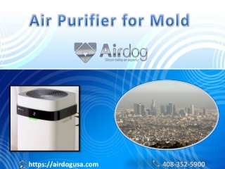 For  Clean and Fresh Air buy Air Purifier for Mold | Airdog USA