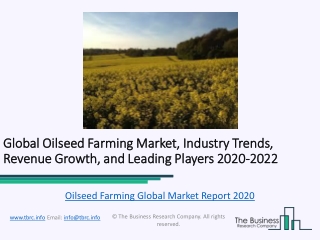 Global Oilseed Farming Market Report Trends, Growth and Revenue To 2022