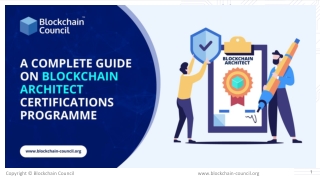 A Complete Guide on Blockchain Architect Certification Programme