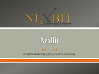 Know About Affordable Digital Marketing Agency in Indianapolis | NexBit