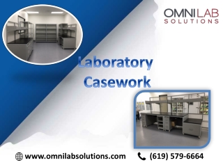 Purchase durable and cost effective Laboratory Casework from OMNI Lab Solutions