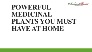 POWERFUL MEDICINAL PLANTS YOU MUST HAVE AT HOME