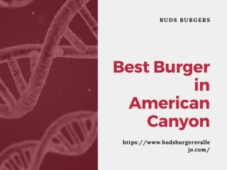 Best Burger in American Canyon