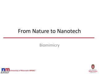 From Nature to Nanotech