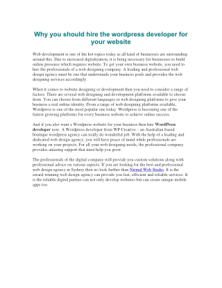 Why you should hire the wordpress developer for your website