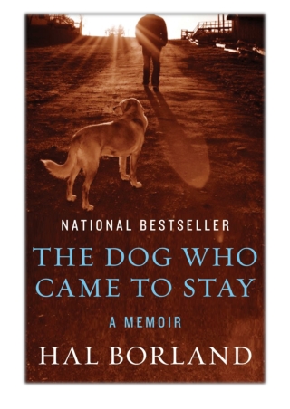 [PDF] Free Download The Dog Who Came to Stay By Hal Borland