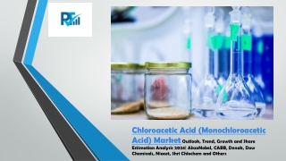 Chloroacetic Acid (Monochloroacetic Acid) Market Outlook, Trend, Growth and Share Estimation Analysis 2024| AkzoNobel, C