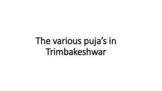 The various puja’s in Trimbakeshwar