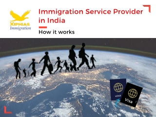 Immigration Service Provider in India- How It Works
