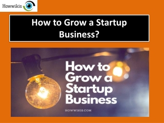 How to Grow a Startup Business?