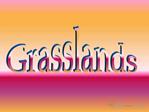 The Grasslands consist of two parts