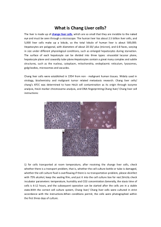 Chang Liver cells