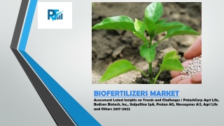 Biofertilizers Market Assessment Latest Insights on Trends and Challenges | PotashCorp Agri Life, Italpollina SpA, Prota