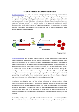 Gene Overexpression