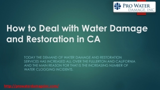Water Damage and Restoration Services