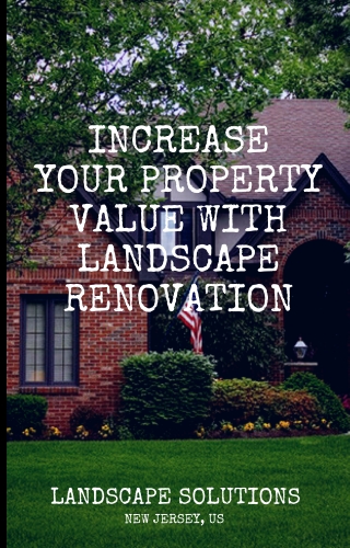 Increase Your Property Value with Landscape Renovation