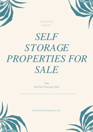 What do you need to know about self storage properties for sale?