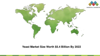 Yeast Market Growth Trends, Business Development, and Applications, 2022