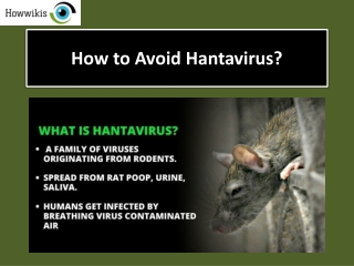 How to Avoid Hantavirus?