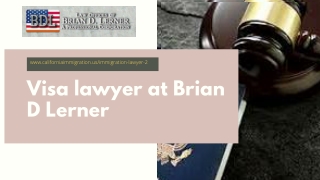Best visa lawyer at California - Brain D Lerner