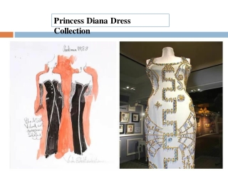 Princess Diana Dress Collection