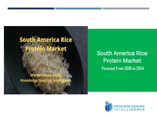 Market Research of South America Rice Protein Market by Knowledge Sourcing