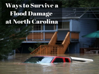 Ways to Survive Flood Damage at North Carolina